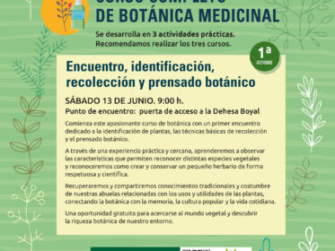 Imagen de la noticia Alpedrete verde. Curso completo de botánica medicinal